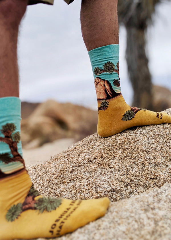 Joshua Tree Men's Socks