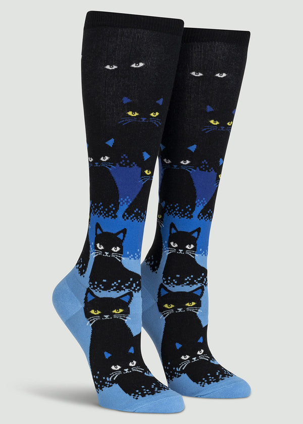 Cat Socks | Fun Socks With Kitties for Crazy Cat Ladies & Guys - Cute ...
