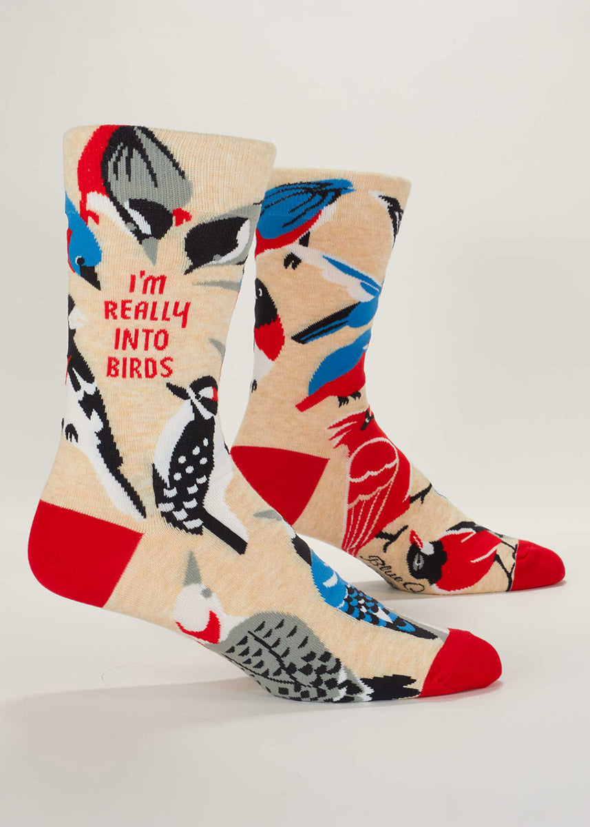 Cream crew socks for men covered in different bird species in shades of red, black and blue, all pecking around the words “I’m really into birds.”