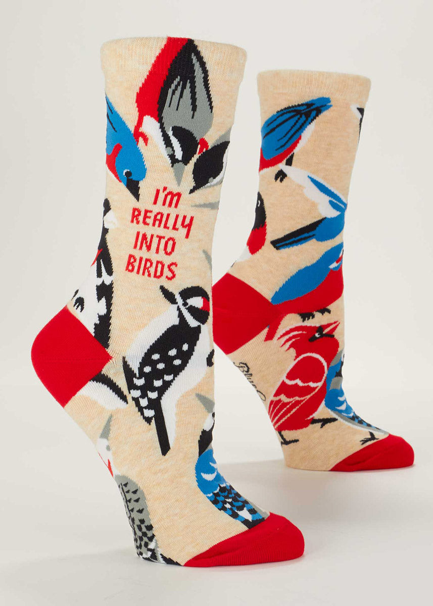 Cream crew socks for women covered in different bird species in shades of red, black and blue, all pecking around the words “I’m really into birds.”