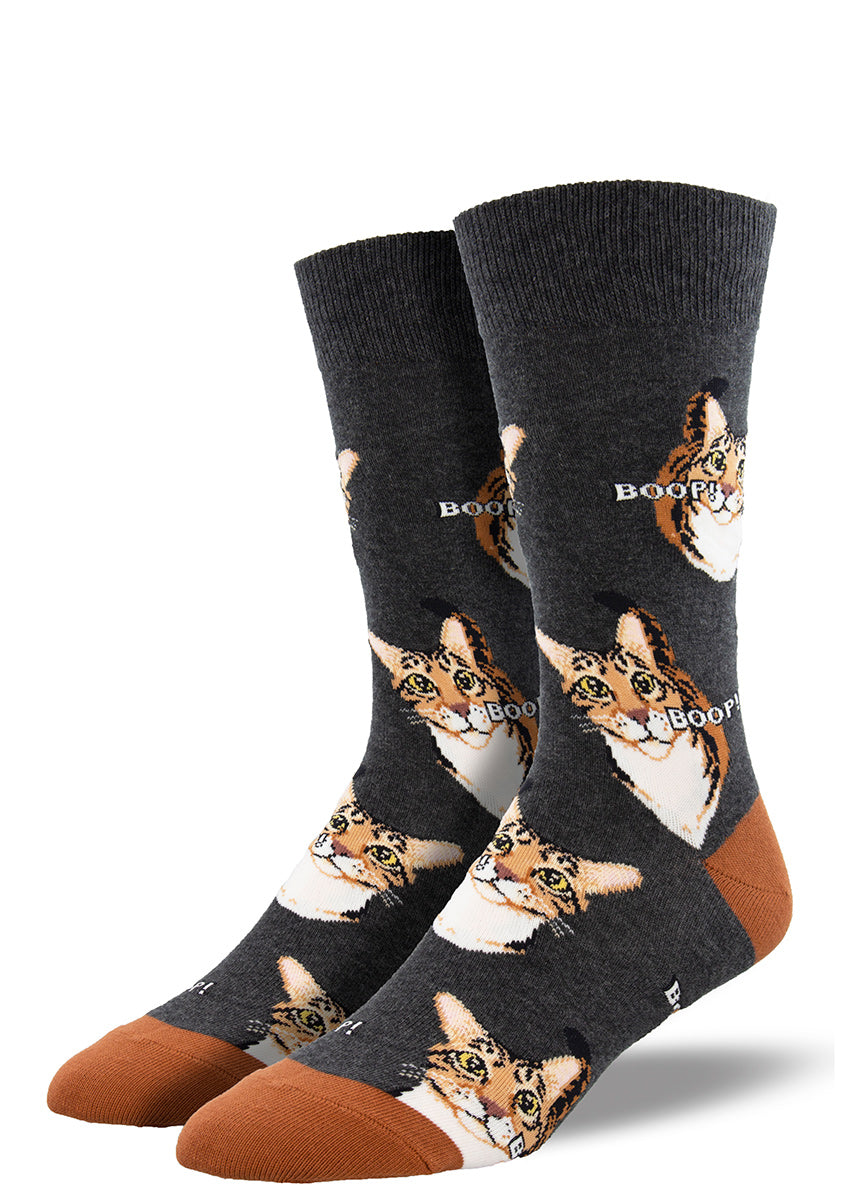 Cat Socks  Fun Socks With Kitties for Crazy Cat Ladies & Guys - Cute But  Crazy Socks