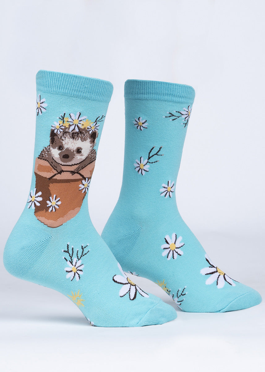 https://www.crazysocks.com/cdn/shop/products/hedgehog-daisy-plant-socks_1600x.jpg?v=1611101568