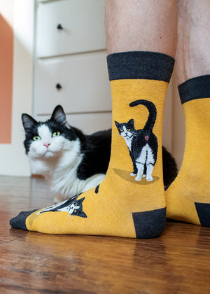 https://www.crazysocks.com/cdn/shop/products/tuxedo-cat-butt-socks-mens-model_300x.jpg?v=1669147921